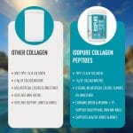 Isopure Collagen Peptides (12g/serve) with Type I,II & III Collagen (Unflavoured)- 250g - Image 5