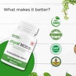 Born Athlete Digest Mode I Multi-enzyme Complex | 60 Capsules - Image 2