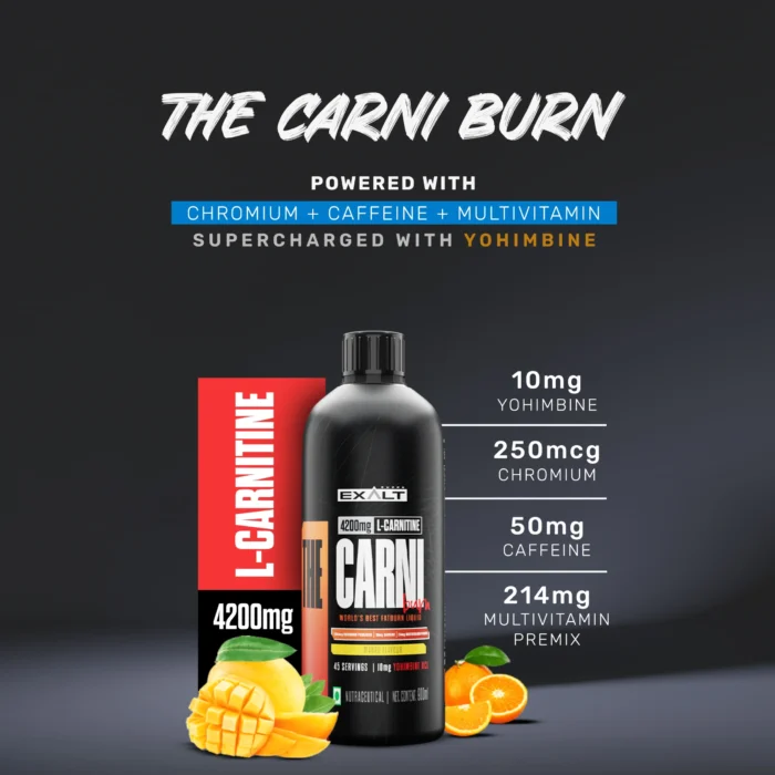 Exalt Supps Carni Burn L Carnitine - Image 4