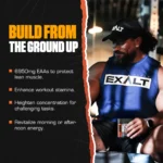 Exalt Supps Revival EAA (Essential Amino Acid ) - Image 5